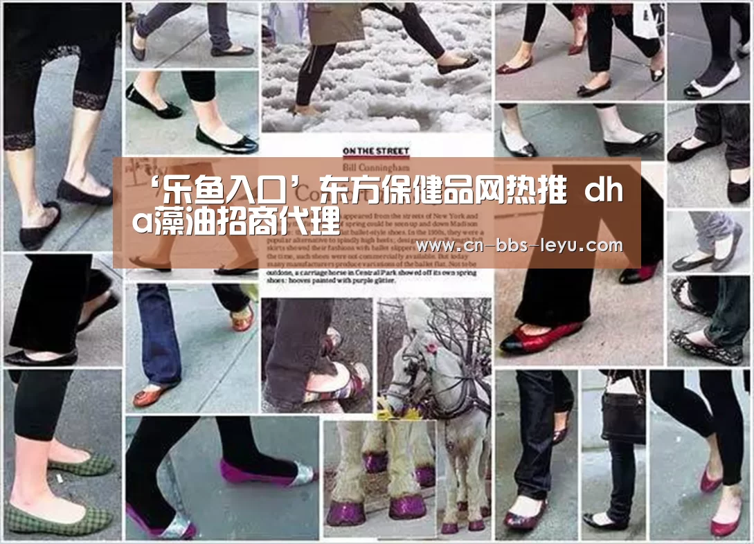 乐鱼入口